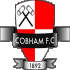 Logo Cobham