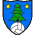 Logo FC Saint-Leonard