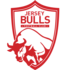 Logo Jersey Bulls