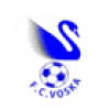 Logo Voska Sport