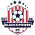 Logo Blacks Power