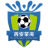 Logo Shanxi Chongde Ronghai