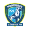 Logo Genesis FC