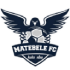 Logo Matebele FC