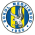 Logo TJ Sokol Medzibrod