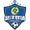 Logo Wuhan Lianzhen