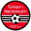 Logo Turkspor Neckarsulm
