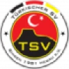 Logo Turkischer SV Singen