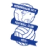 Logo Birmingham Academy