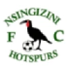 Logo Nsingizini