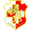 Logo Naxxar Lions FC U19