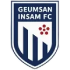 Logo Geumsan Insam