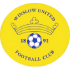 Logo Winslow United