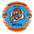 Logo Medina United FC