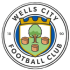 Logo Wells City