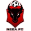 Logo Toros Neza