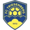 Logo Triesenberg