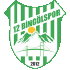 Logo 12 Bingolspor