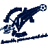 Logo AF Virois