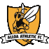 Logo Alloa Athletic