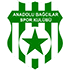 Logo Anadolu Bagcilar Spor
