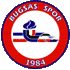 Logo Baskent Gozgozler Akademi FK