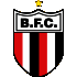 Logo Botafogo SP