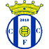 Logo Canelas 2010