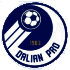 Logo Dalian Professional FC