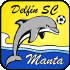 Logo Delfin