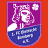 Logo Eintracht Bamberg