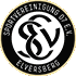 Logo Elversberg