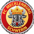 Logo FC Mecklenburg Schwerin