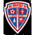 Logo FK Zvijezda 09