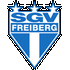 Logo Freiberg