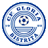 Logo Gloria Bistrita