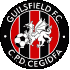 Logo Guilsfield FC
