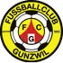 Logo Gunzwil
