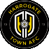 Logo Harrogate Town