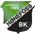 Logo Hoenefoss (Vrouwen)