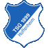 Logo Hoffenheim