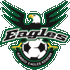 Logo Kamboi Eagles