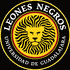 Logo Leones Negros II