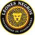Logo Leones Negros