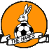 Logo March Town United