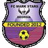 Logo Mark Stars