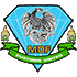 Logo MOF Customs United