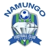 Logo Namungo FC