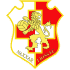 Logo Naxxar Lions FC