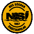 Logo NSI Runavik